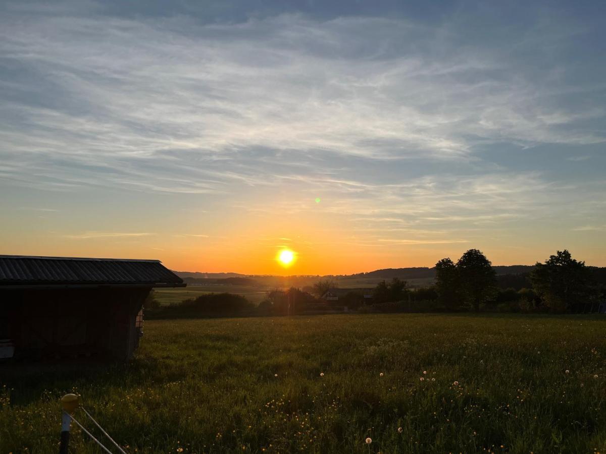 Pferdehof Thomayer Strasswalchen Dış mekan fotoğraf