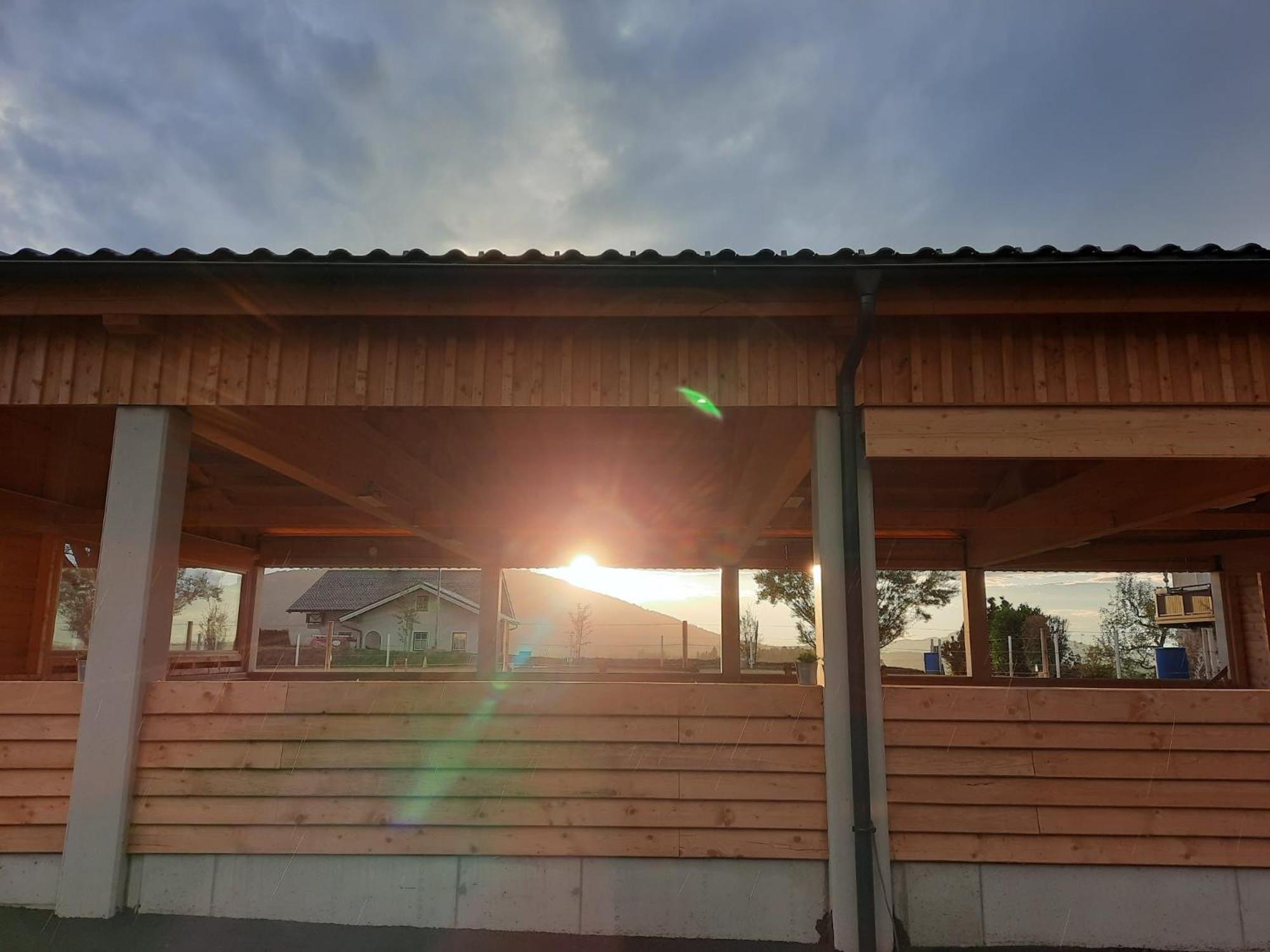 Pferdehof Thomayer Strasswalchen Dış mekan fotoğraf